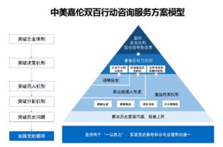雙百行動(dòng)信息咨詢(xún)服務(wù)產(chǎn)品手冊(cè)